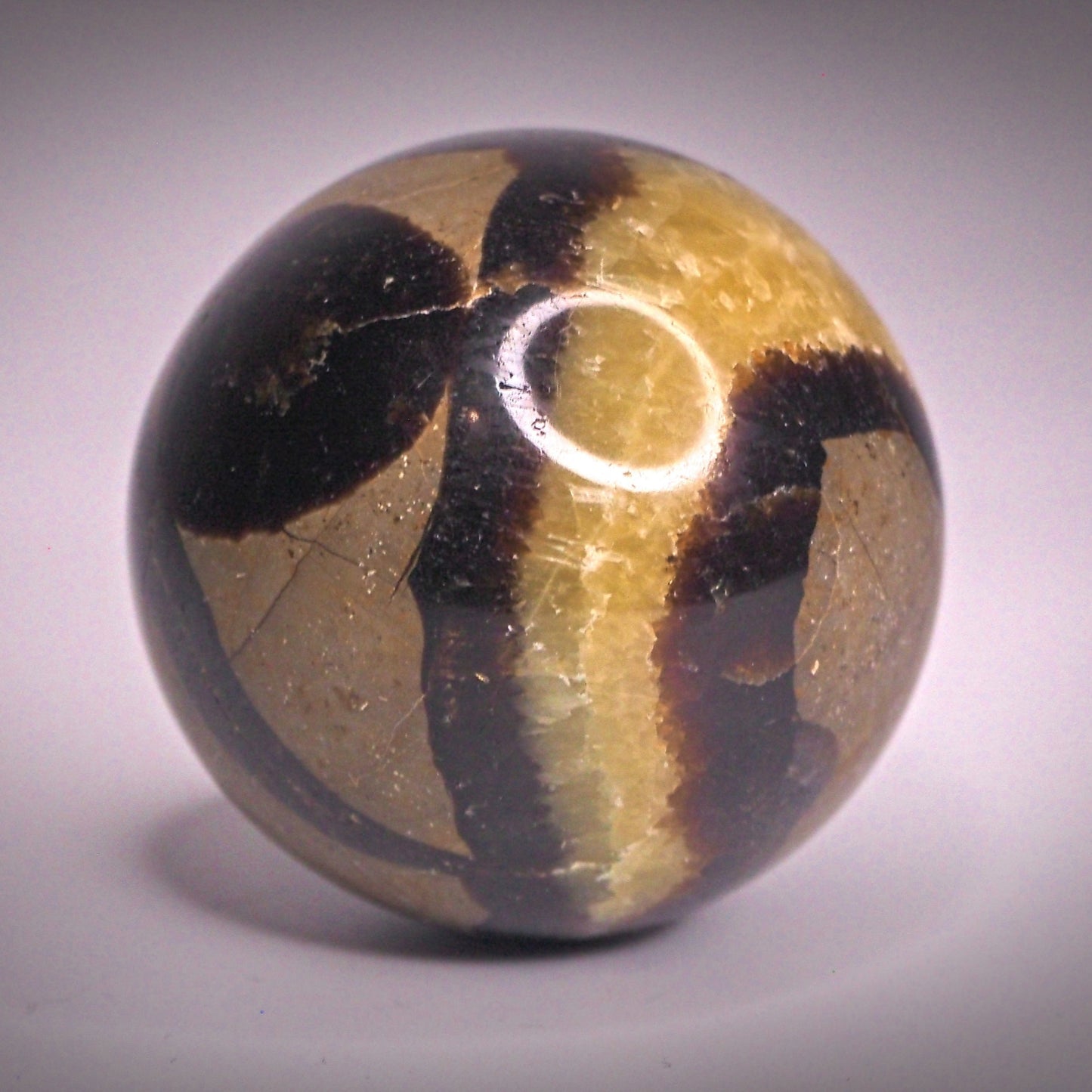 pallo yksi kappale lohikäärme septaria septarian