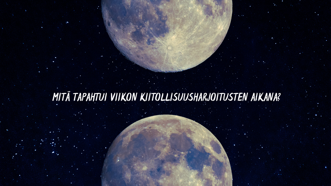 Mitä tapahtui viikon kiitollisuusharjoitusten aikana?